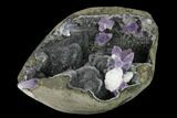 Amethyst Crystals on Sparkling Quartz Chalcedony - India #168764-1
